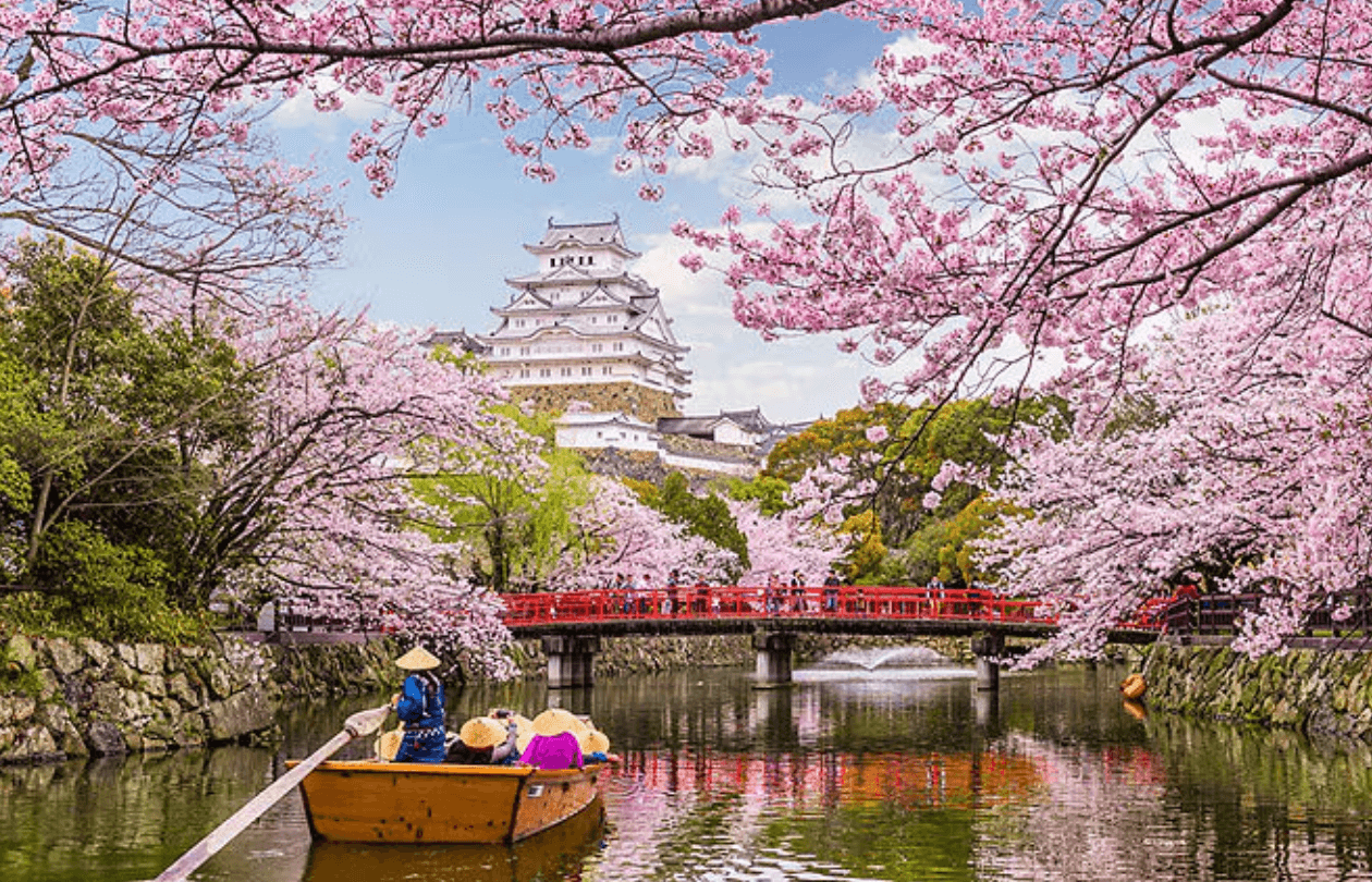 japan - Best Cruises in 2026